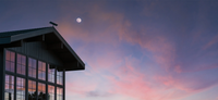A Glimpse into the Future: Starlink Home Internet in Starbase, Texas
