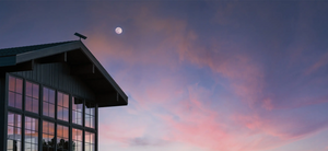 A Glimpse into the Future: Starlink Home Internet in Starbase, Texas